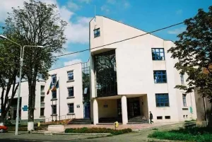 Făget din județul Timiș